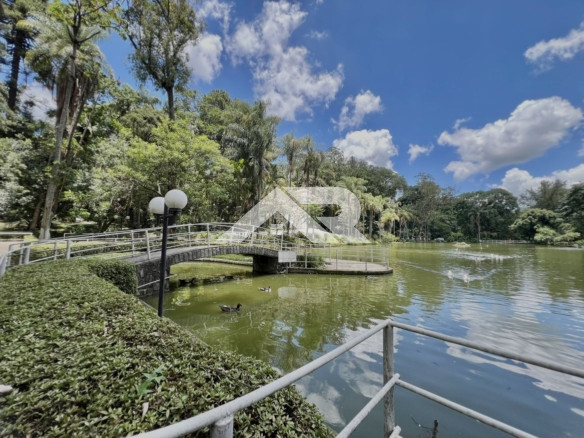 Lago - ponte